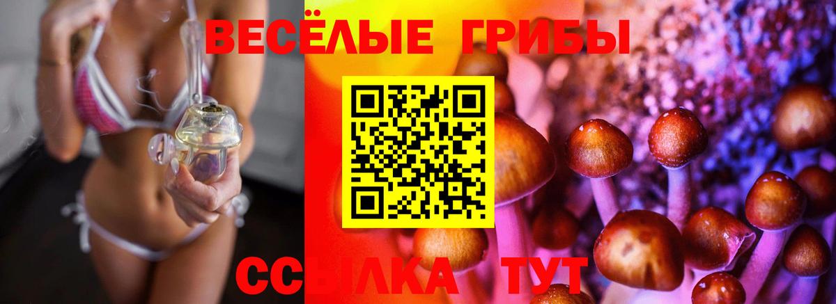 Салехард  Галлюциногенные грибы Magic Shrooms  Вход с VPN 