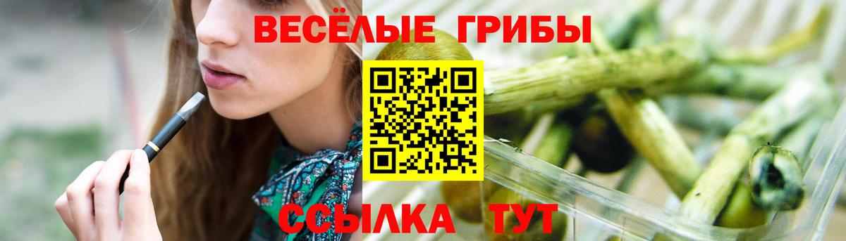 Псилоцибиновые грибы Magic Shrooms Салехард